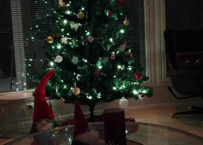 公寓 Lapland 罗瓦涅米